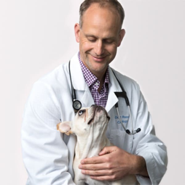 Dr. Nick Russell, Thousand Oaks Veterinary Cardiologist
