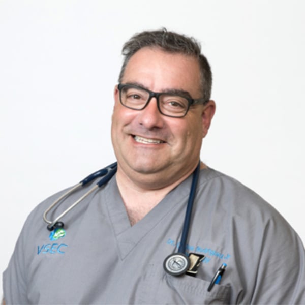 Meet Dr. Carlos O. Rodriguez, Jr. Thousand Oaks Veterinarian