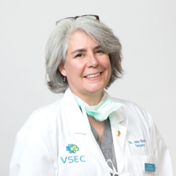Dr. Jana Norris, Thousand Oaks Veterinary Surgeon