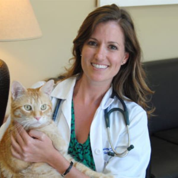 Dr. Lindsay Tangeman, Thousand Oaks Internal Medicine Specialist