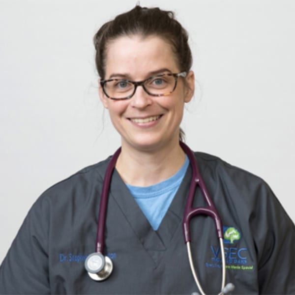 Thousand Oaks Veterinarian